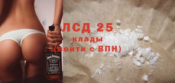 мдпв Бородино