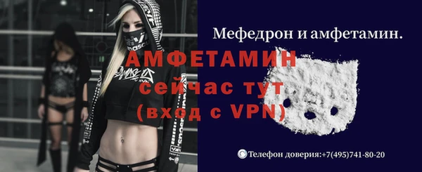 крисы Верхний Тагил