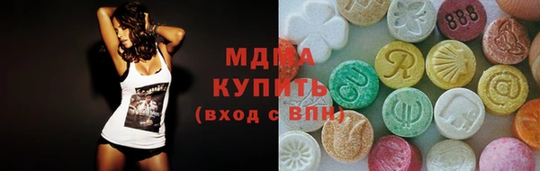 мдпв Бородино