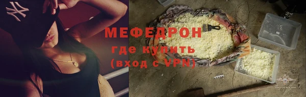 мдпв Бородино
