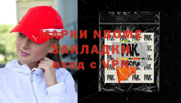 мдпв Бородино