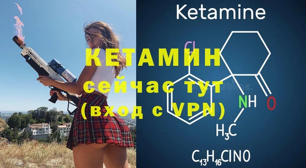 мдпв Бородино